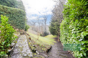 Photo 7- click for photo gallery